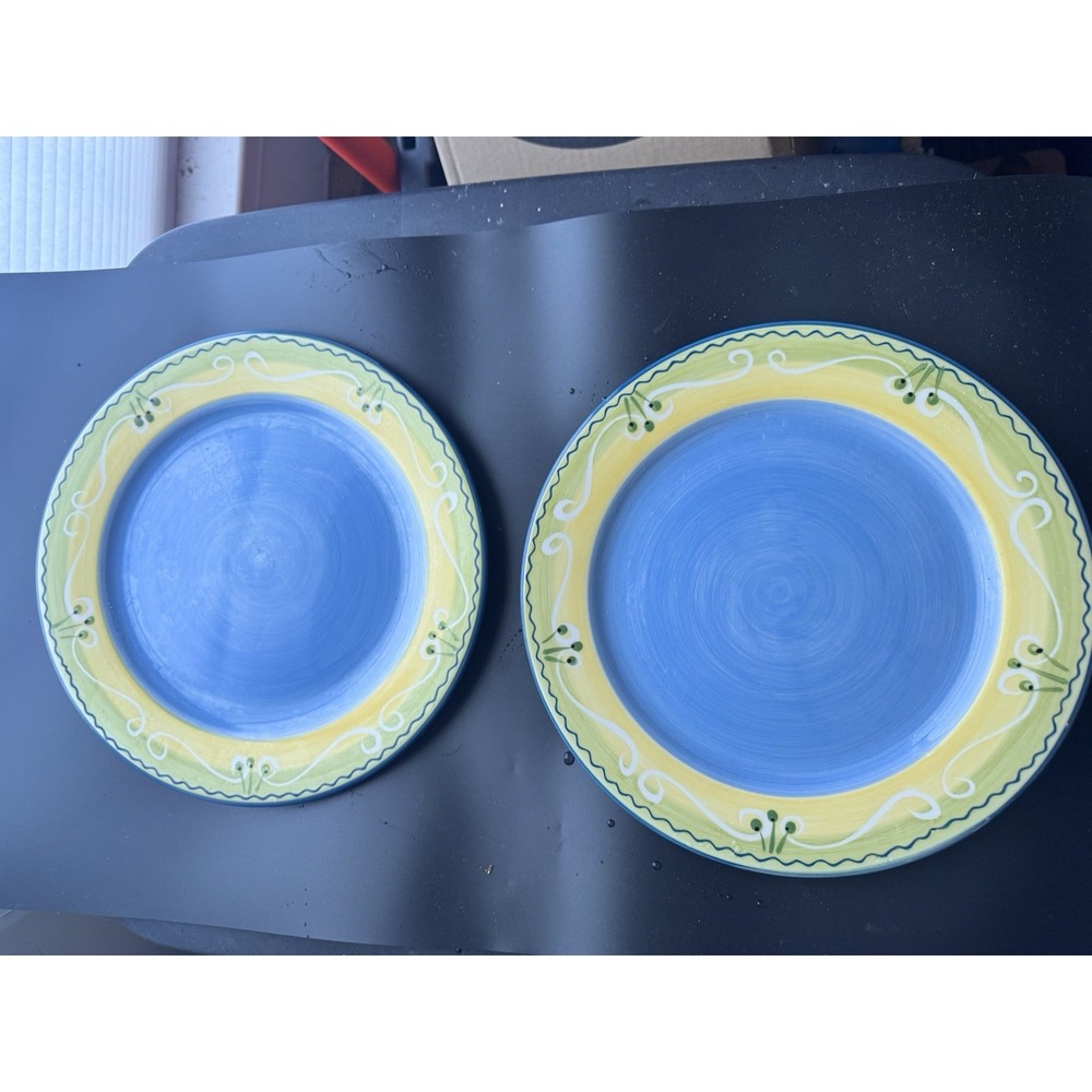 Set Of 2 Pflatzgraff Garden Path Dinner Plates 10 7/8" Blue & Yellow